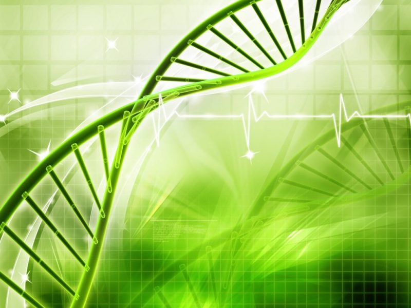 Digital illustration of  DNA
