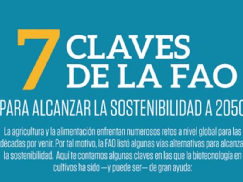 7 CLAVES
