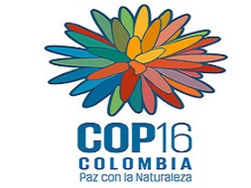 COP16...