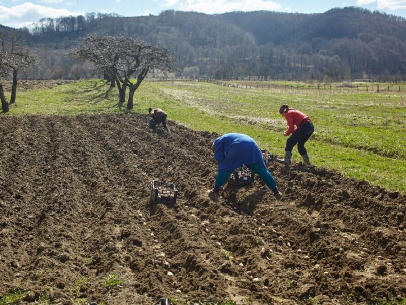 WhatsApp Image 2025-03-18 at 9.15.35 AM