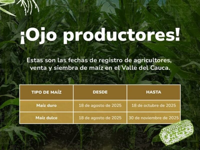 fecha de siembra