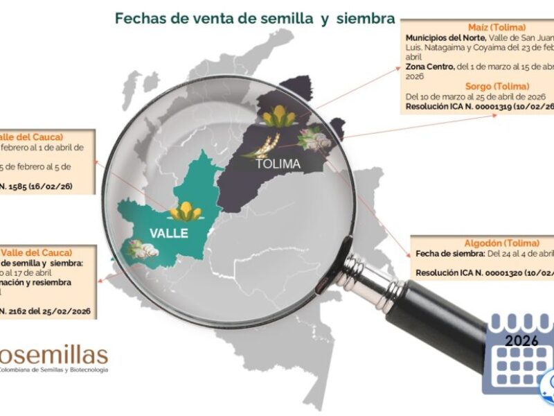 imagen resol feb 2026
