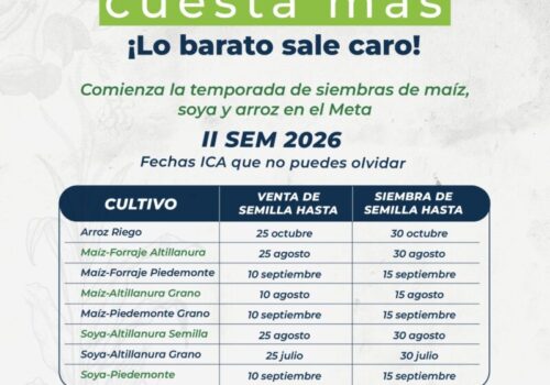 Semilla autorizada y siembra oportuna