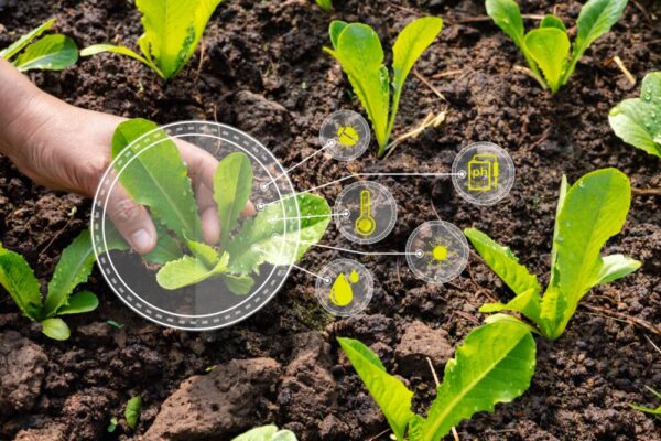 Ciencia agricola y semillas mejoradas